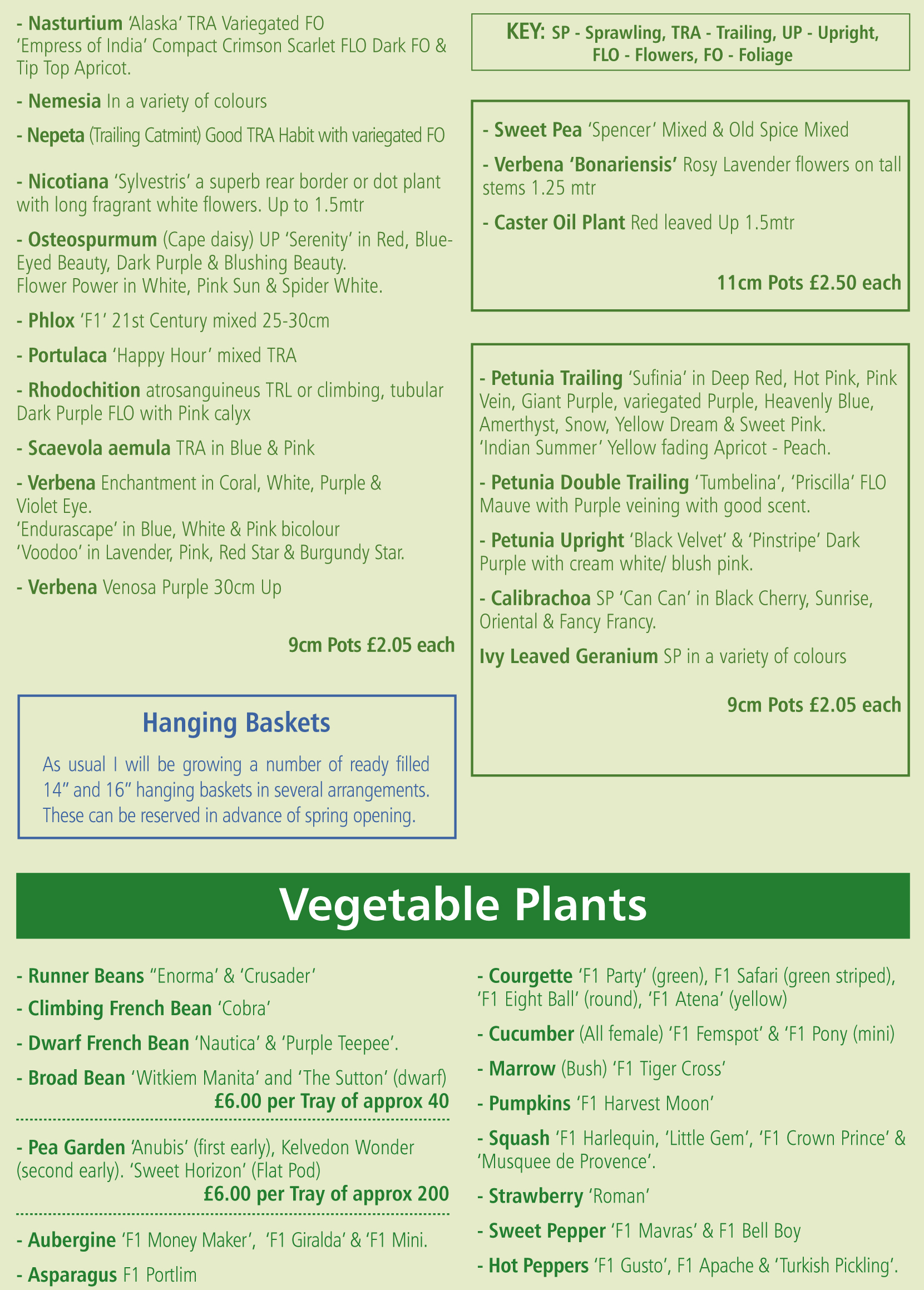 Quarry Nurseries, Nr Banbury, Oxfordshire.